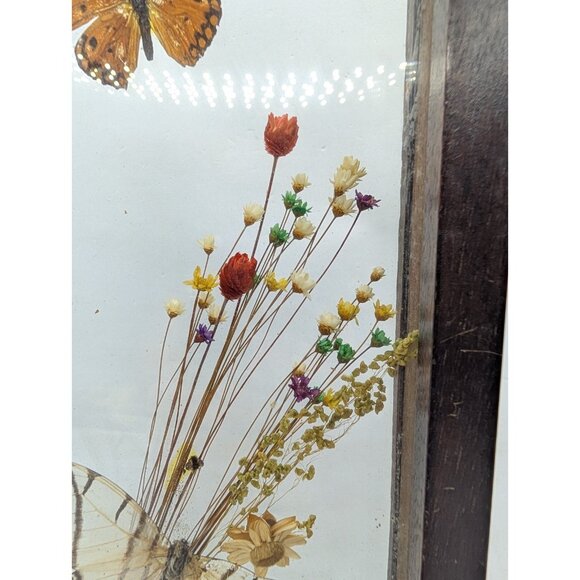 Vintage Shadow Box Butterflies Flowers display glass 12.4" x 5.4" boho READ - Picture 5 of 16